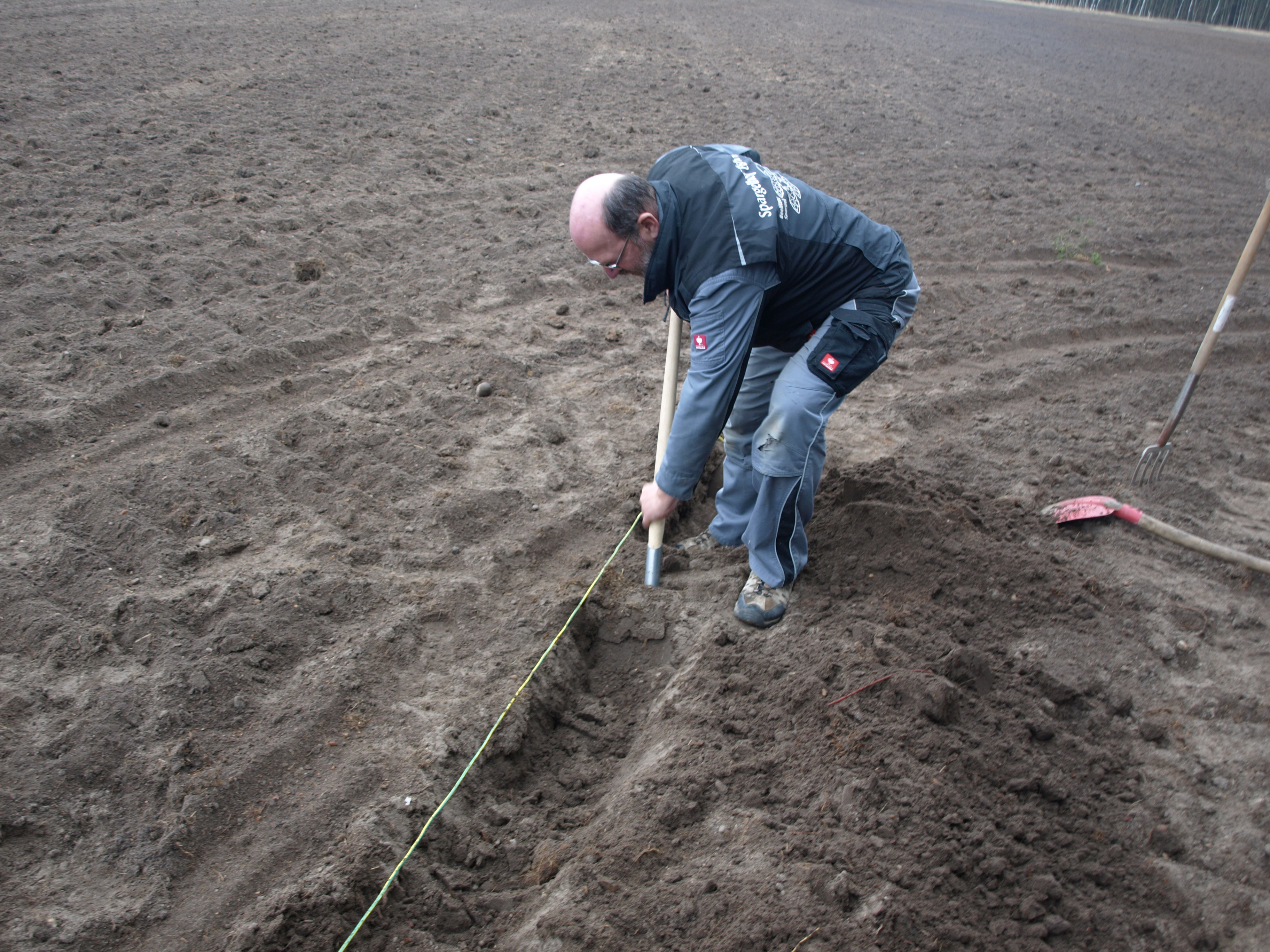 Spargel-pflanzen-Schritt-2