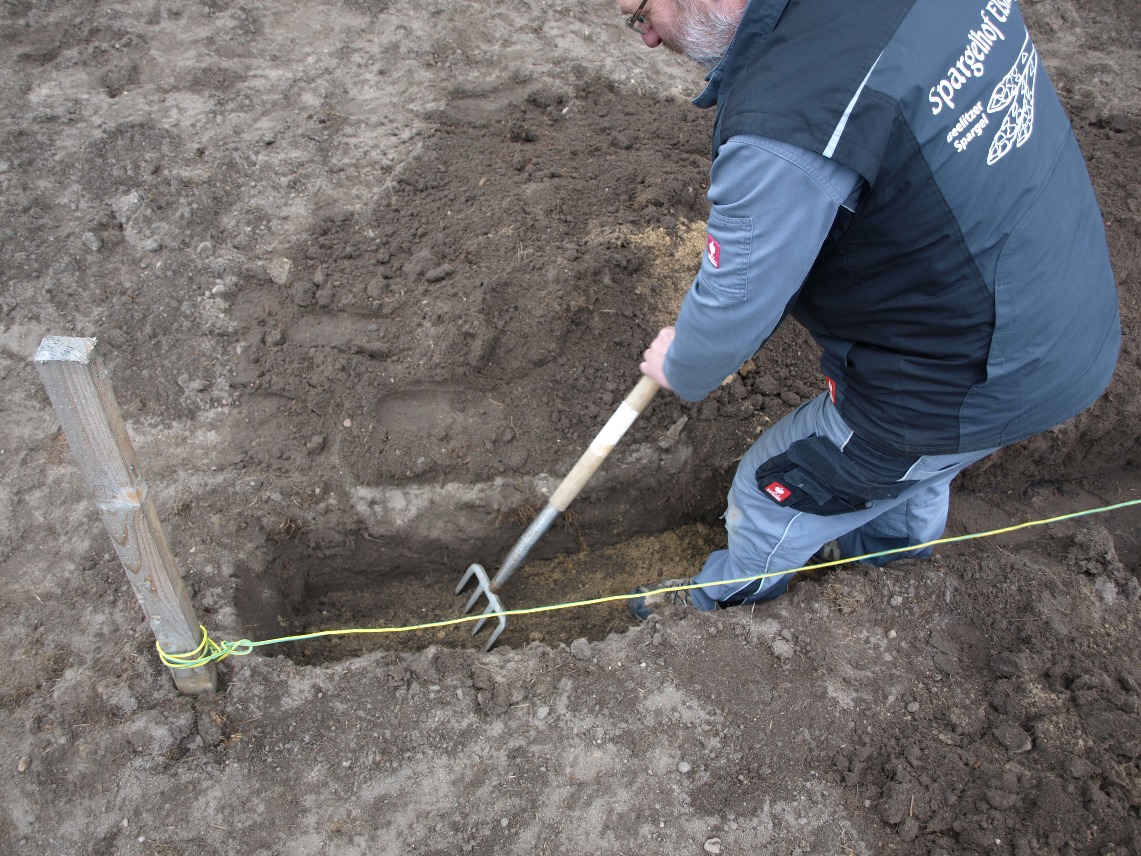 Spargel-pflanzen-Schritt-3