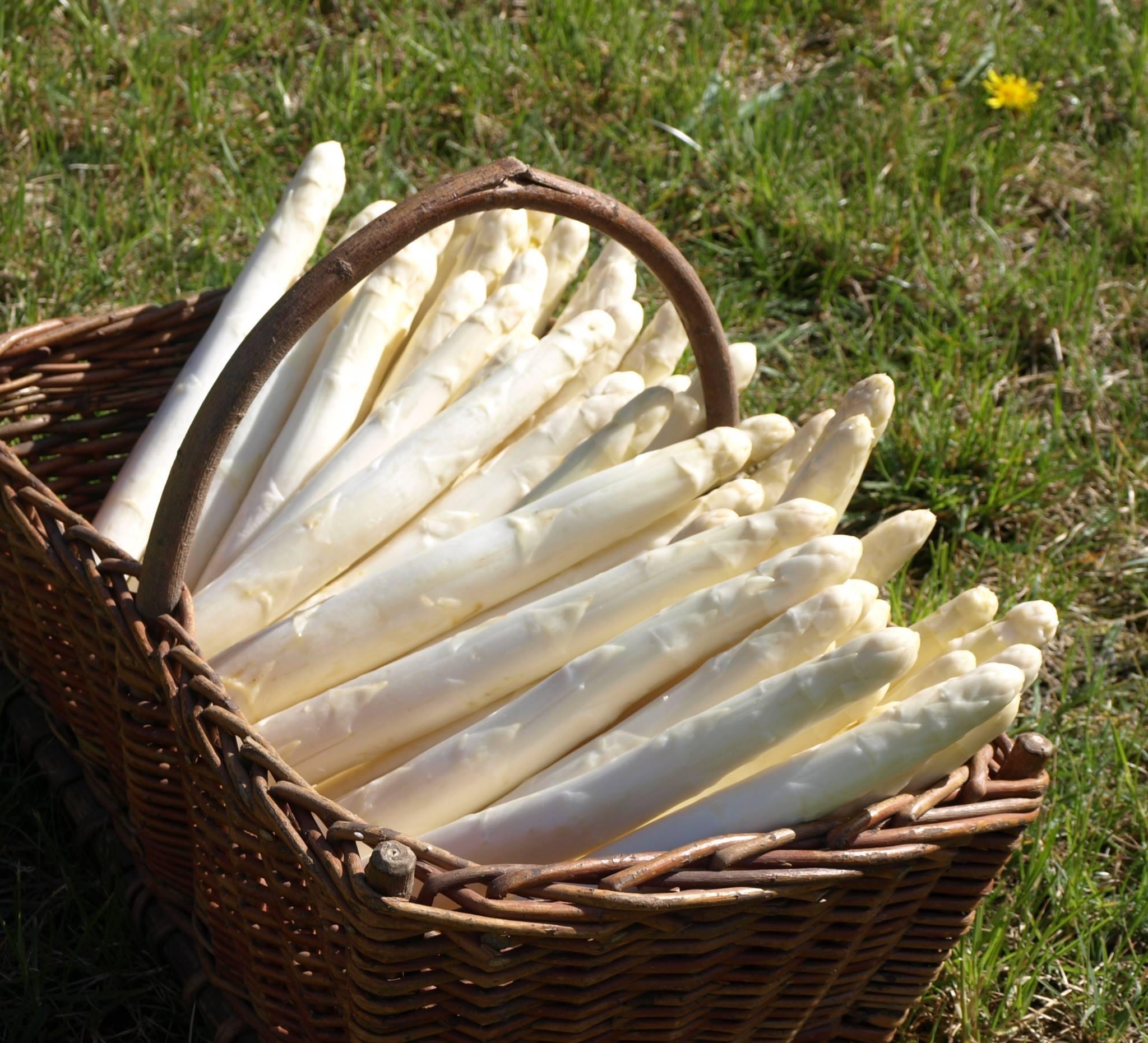 Spargelhof-Elsholz-Hofladen