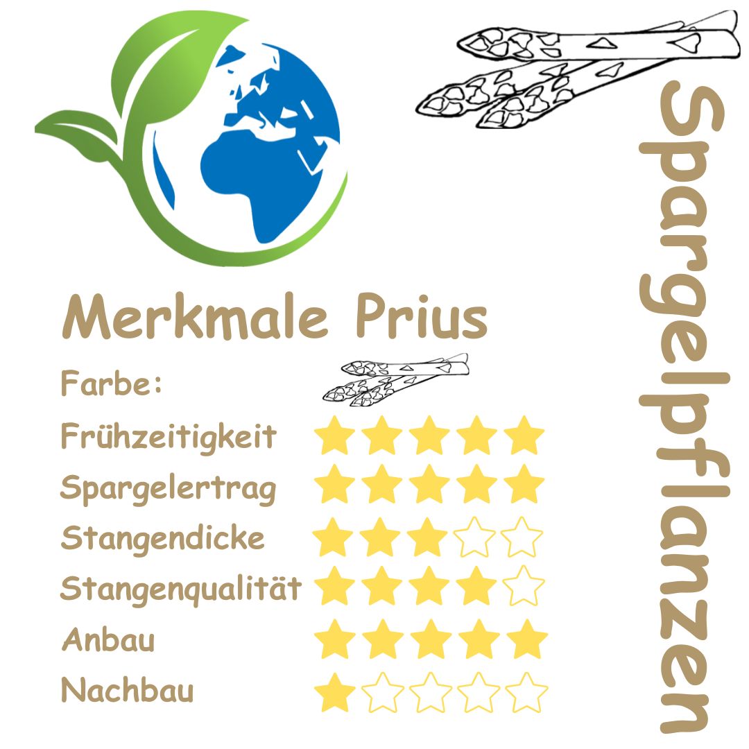 Spargelpflanze Prius - Merkmale und Eigenschaften